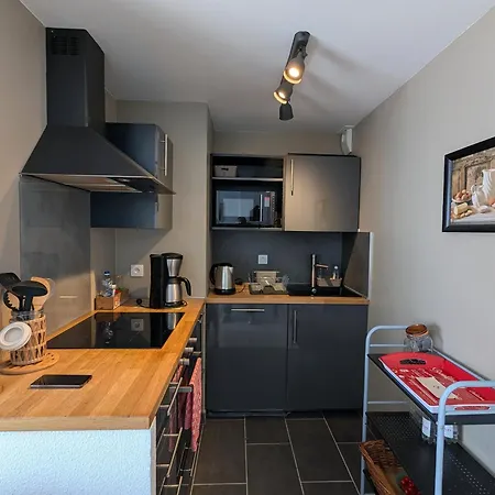 Апартаменты Centre : T2 Avec Loggia, Parking Securise Et Proche - Fr-1-420-61 *