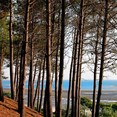 Centre : T2 Avec Loggia, Parking Securise Et Proche - Fr-1-420-61 Arcachon