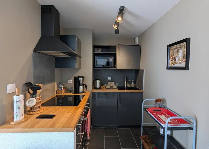 Apartamento Centre : T2 Avec Loggia, Parking Securise Et Proche - Fr-1-420-61 *