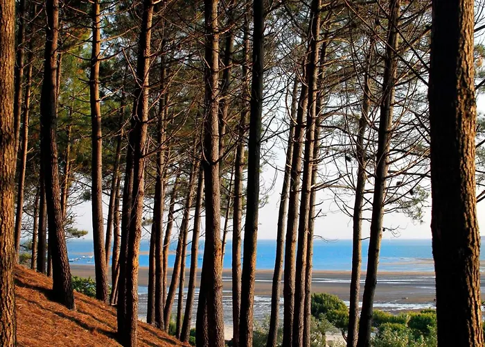 Centre : T2 Avec Loggia, Parking Sécurisé Et Proche - Fr-1-420-61 Arcachón